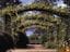Mount Tomah Botanic Gardens Image -5b418811371bd